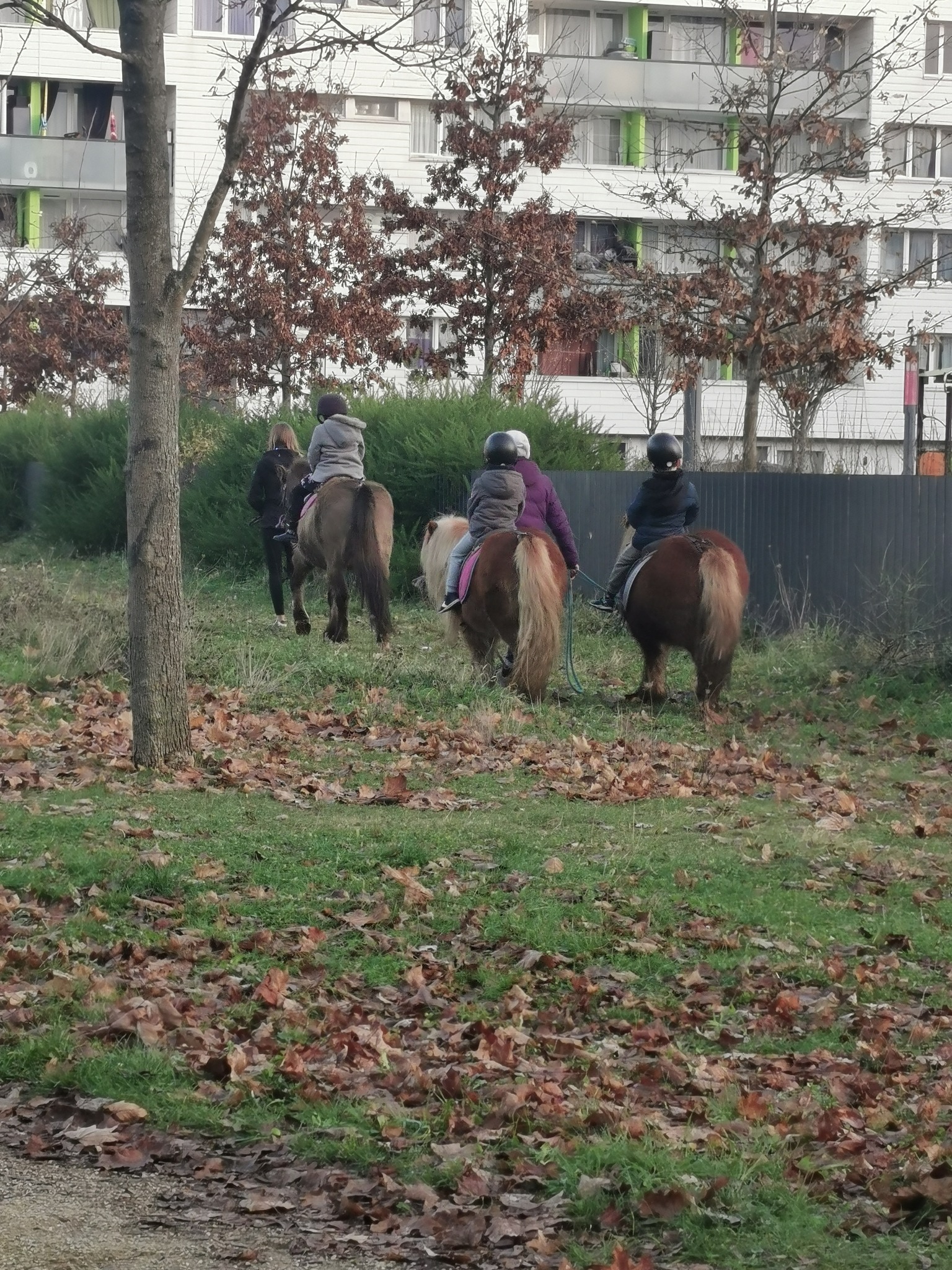 centre_social_culturel_lazare_garreau_noel_2022_promenade_poney